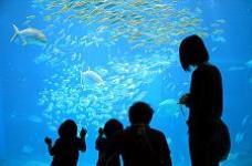 ママも安心ファミリープラン