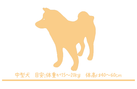 中型犬参考画像