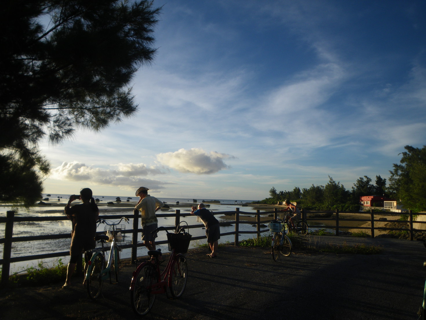 アマカでは週3回ほど自転車で行く無料夕陽案内ツアーを開催しています。