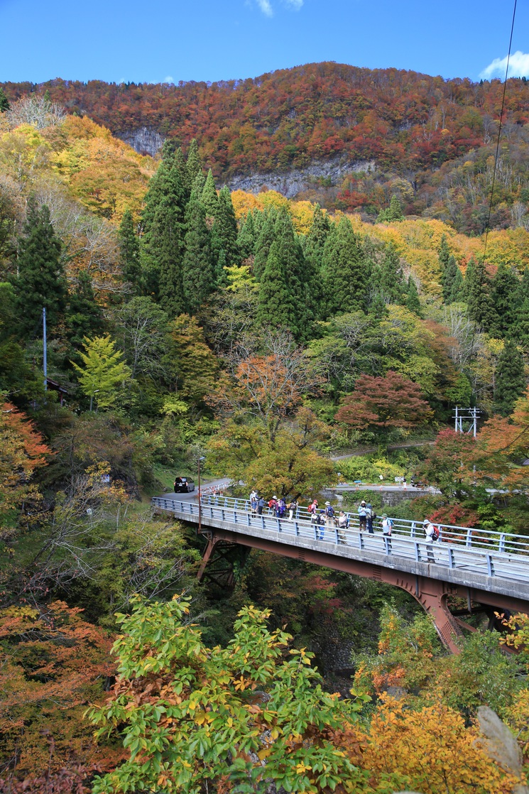 猿飛橋