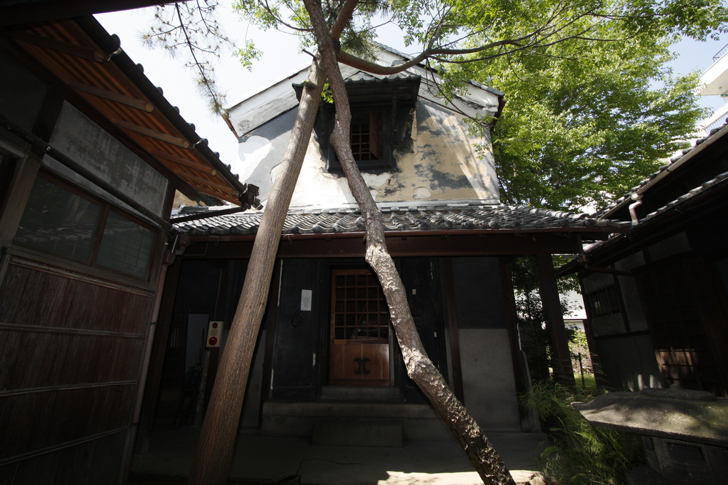 橦木館蔵