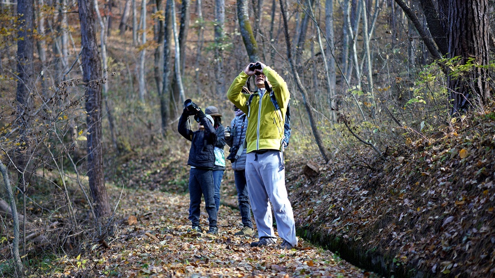 ヒュッテ・リィトのある森は、野鳥の観察にも適しています。