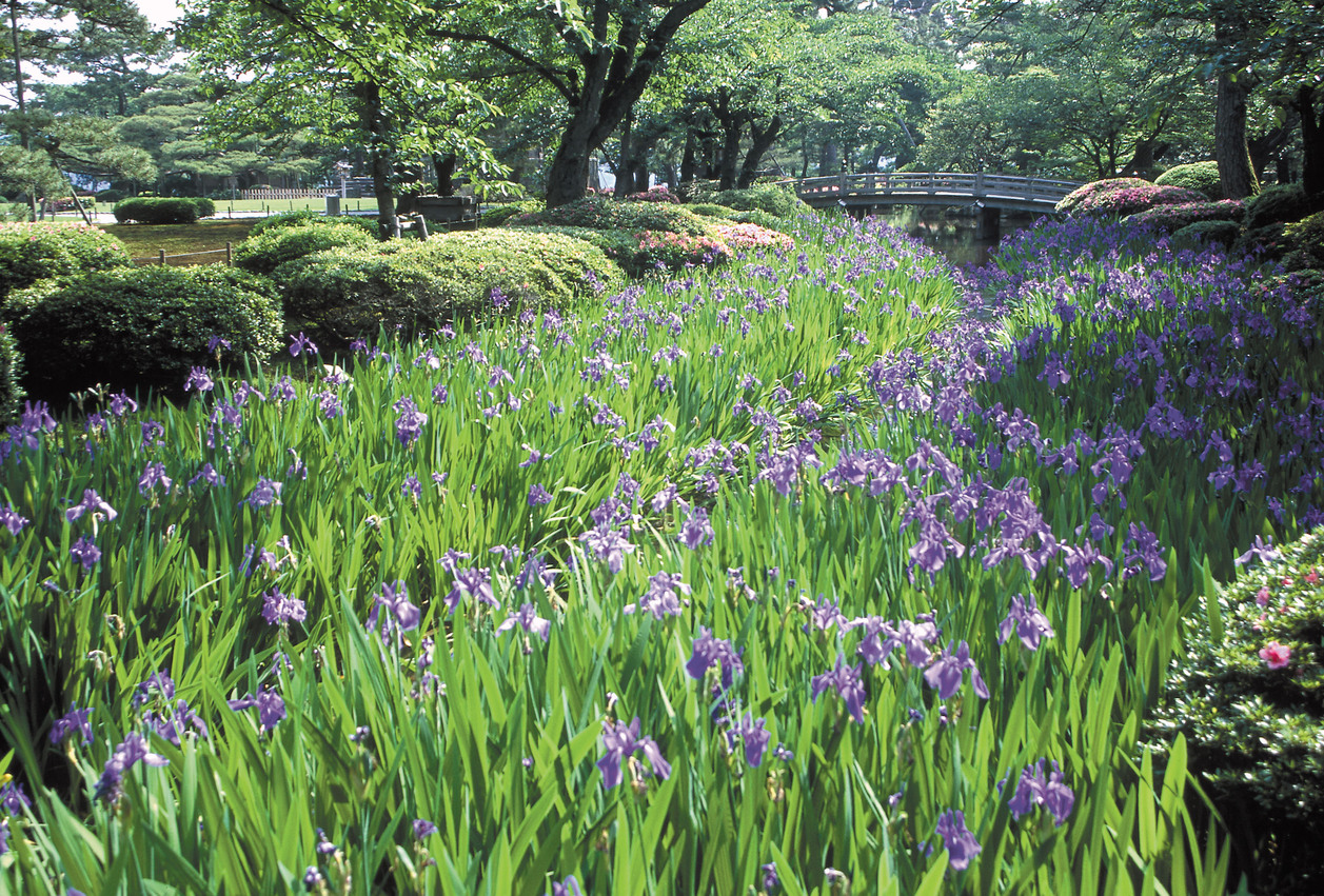 兼六園