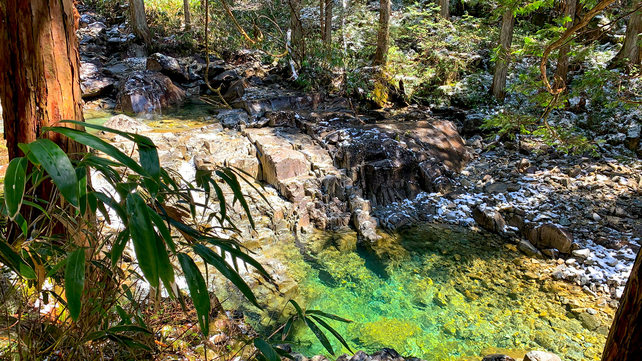 田立の滝