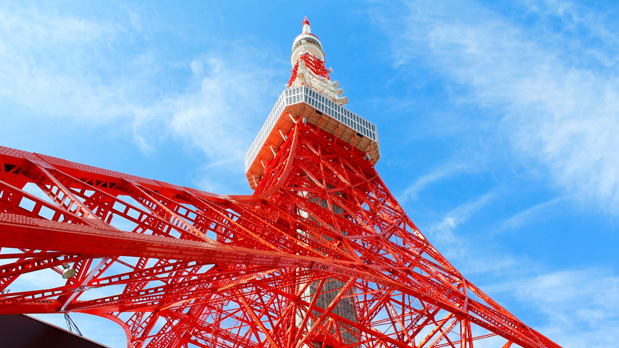 眺望東京タワー