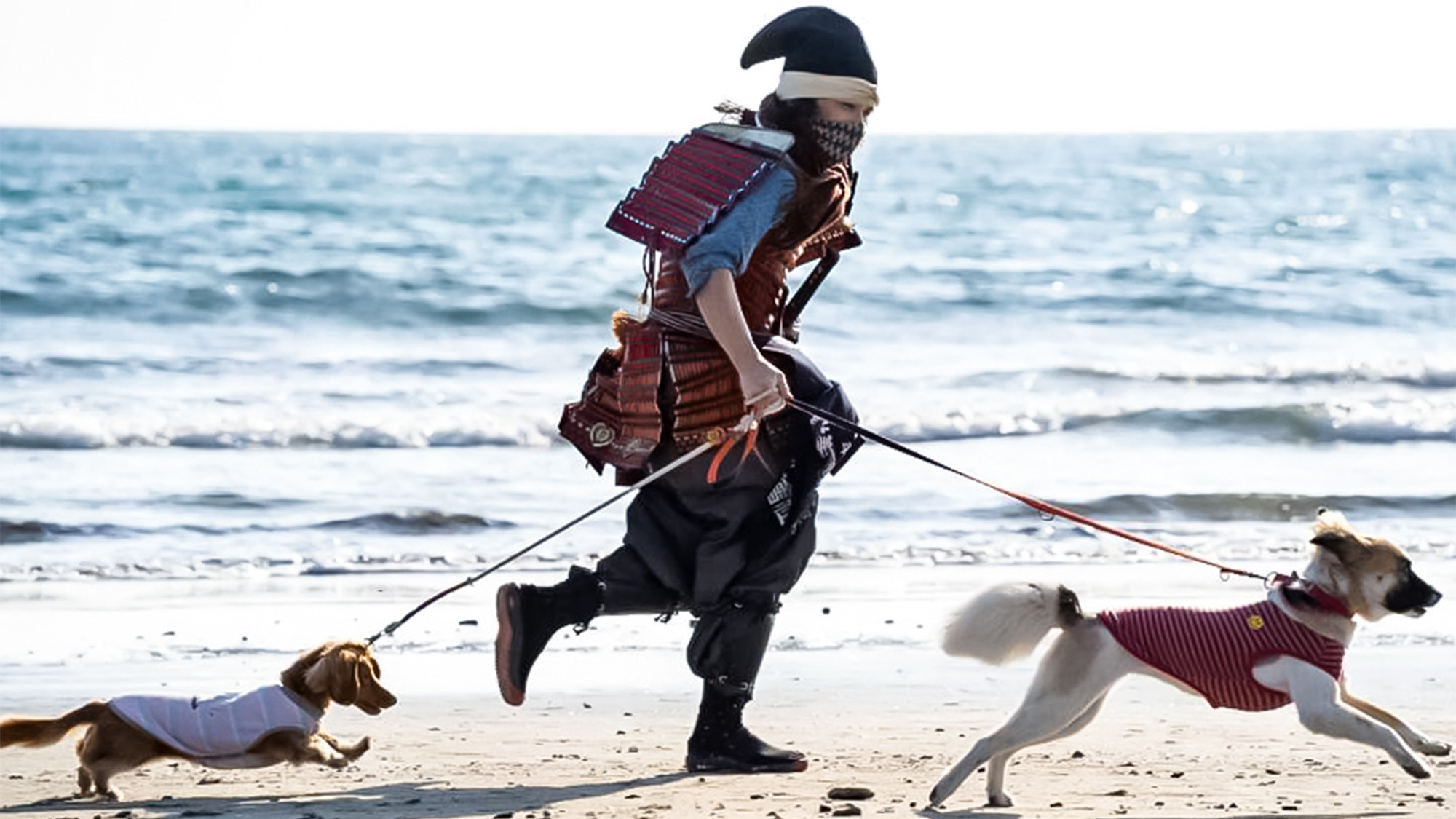 【ペットも可！】徒歩約10分で海まで行けます！武士も一緒に散歩します。