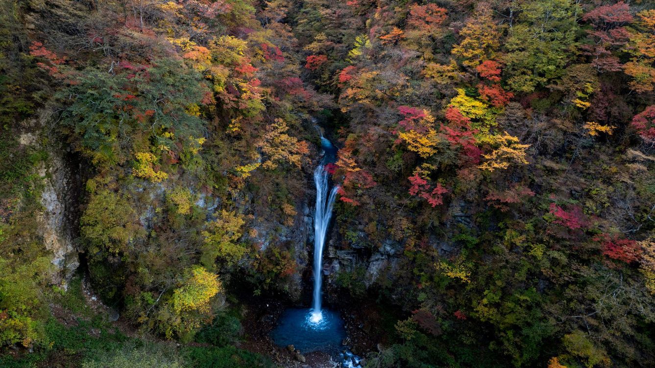 「駒止の滝」観瀑台からは四季折々の景色が楽しめます（車で約15分）