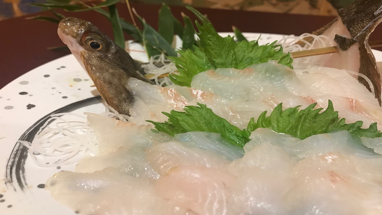 カレイのお刺身