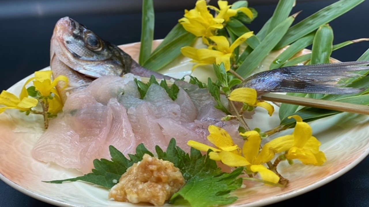タナゴのお刺身