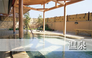 This photo about Nakaizu Onsen Hotel Winery Hill shared on HyHotel.com