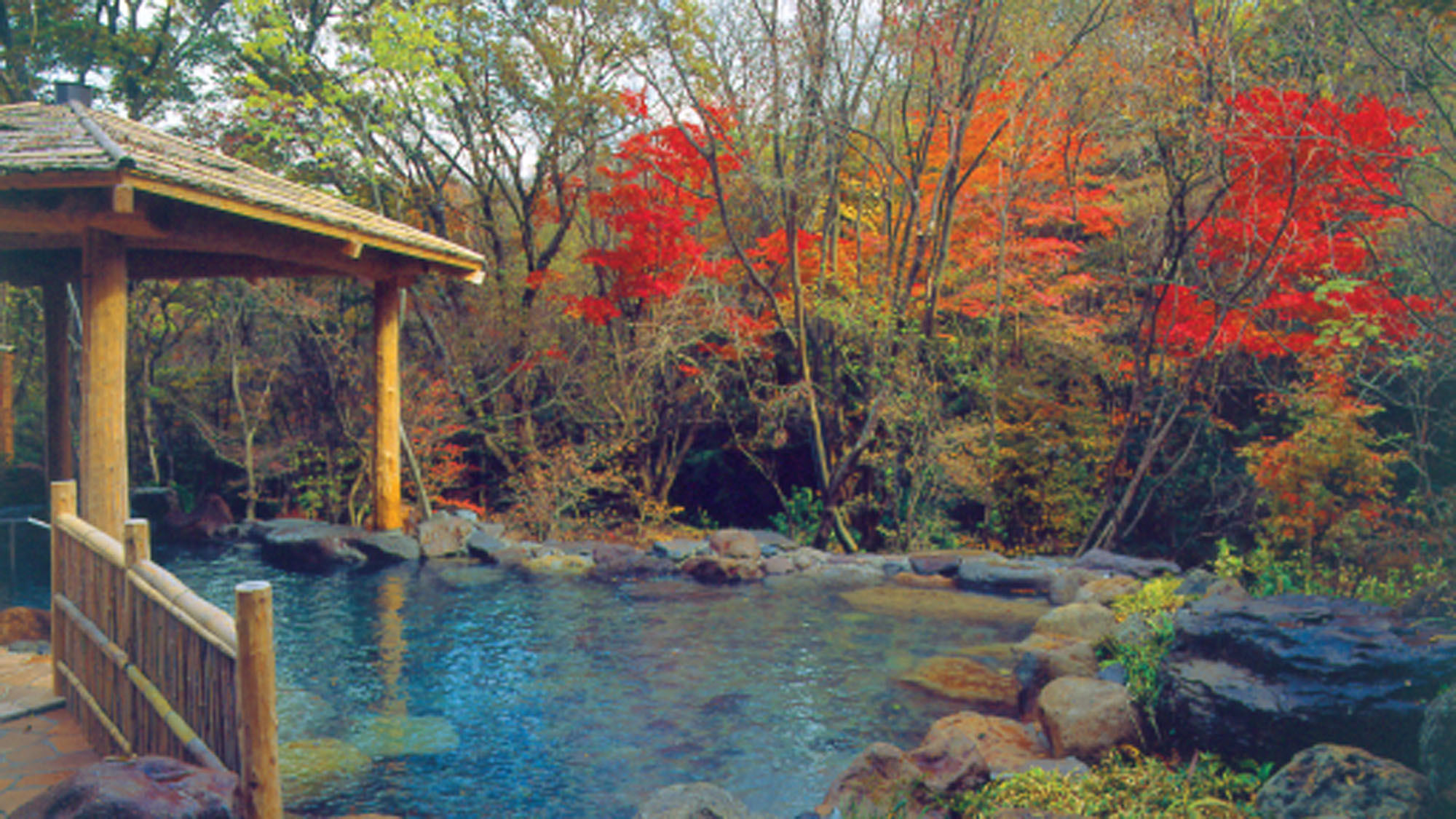 秋の露天風呂・紅葉を見ながらゆっくりお湯につかってのんびりと