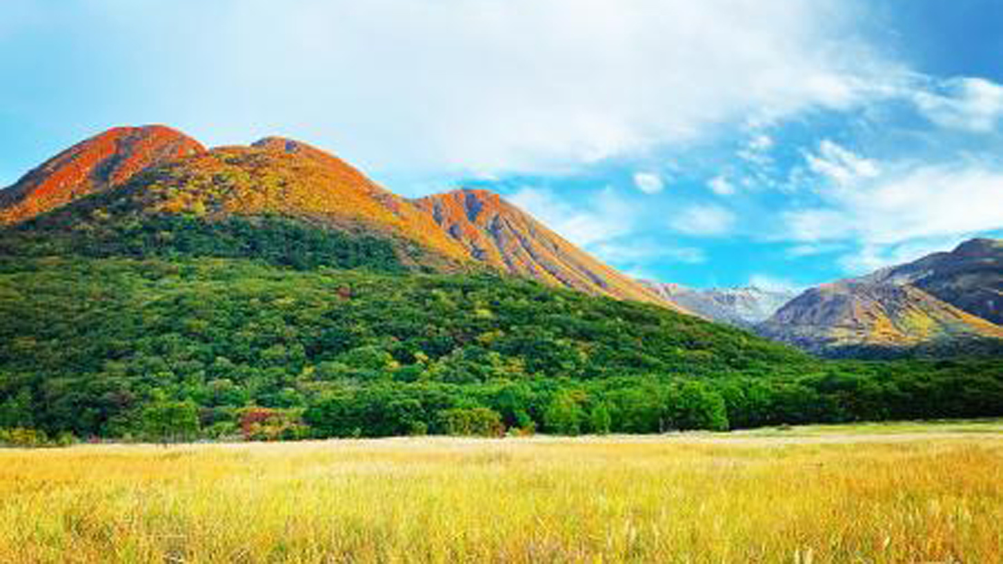 紅く色づいた秋のくじゅう連山は登山やハイキングにオススメ♪