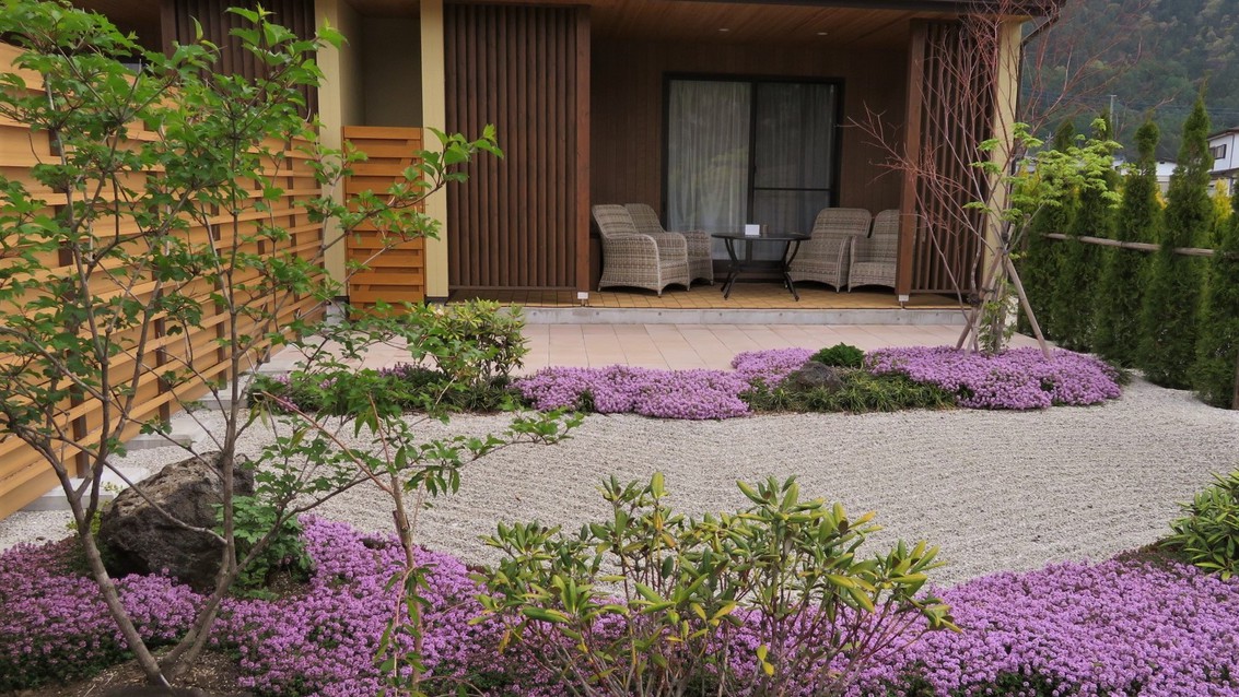 春は各お部屋の庭園に紫のハーブが咲きます