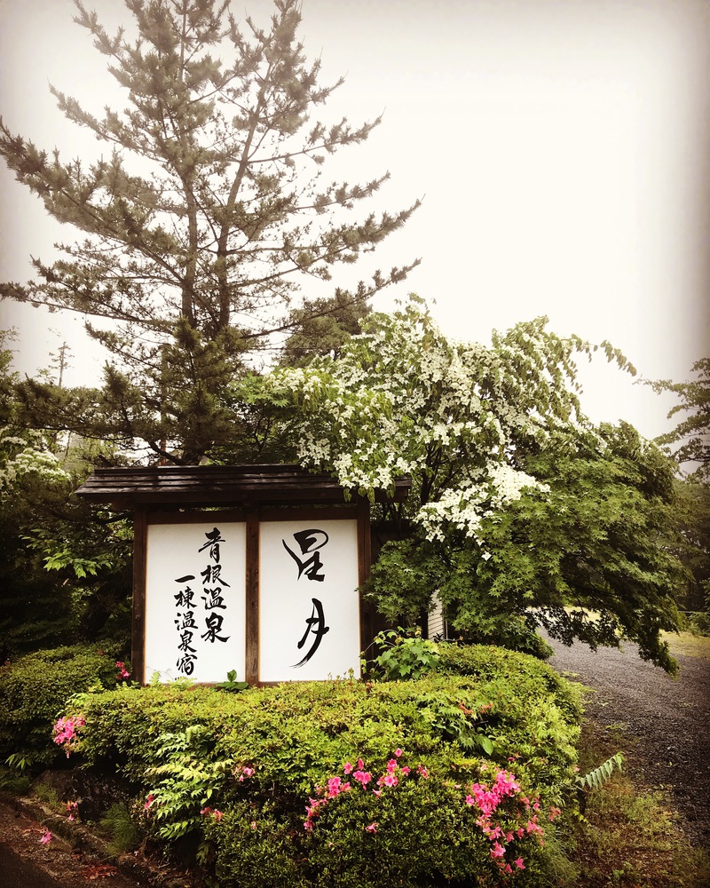 Aone Onsen Itto Onsenyado Seigetsu Image 5, Shiroishi, Japan