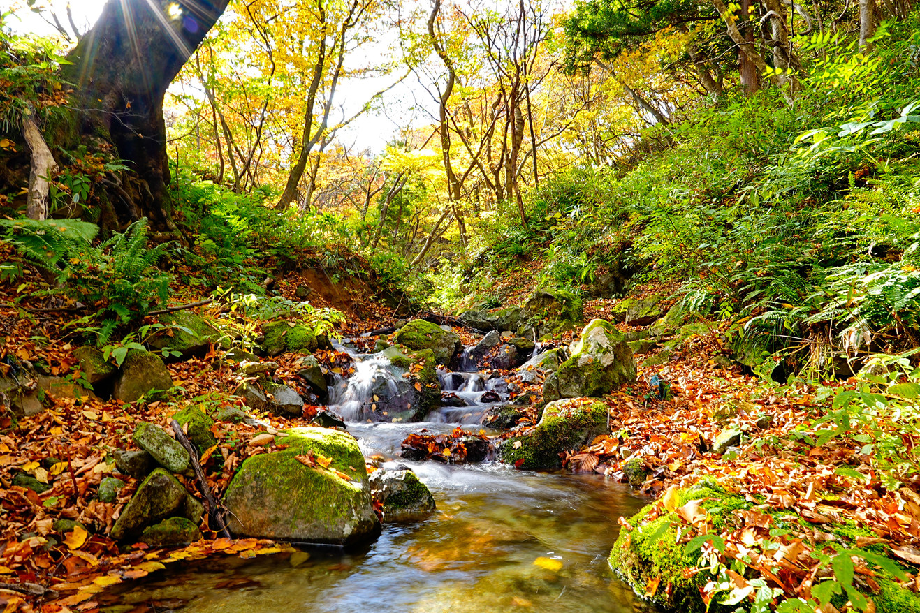 青根温泉の風景