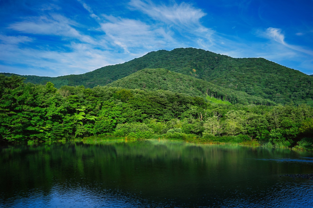 青根温泉の風景