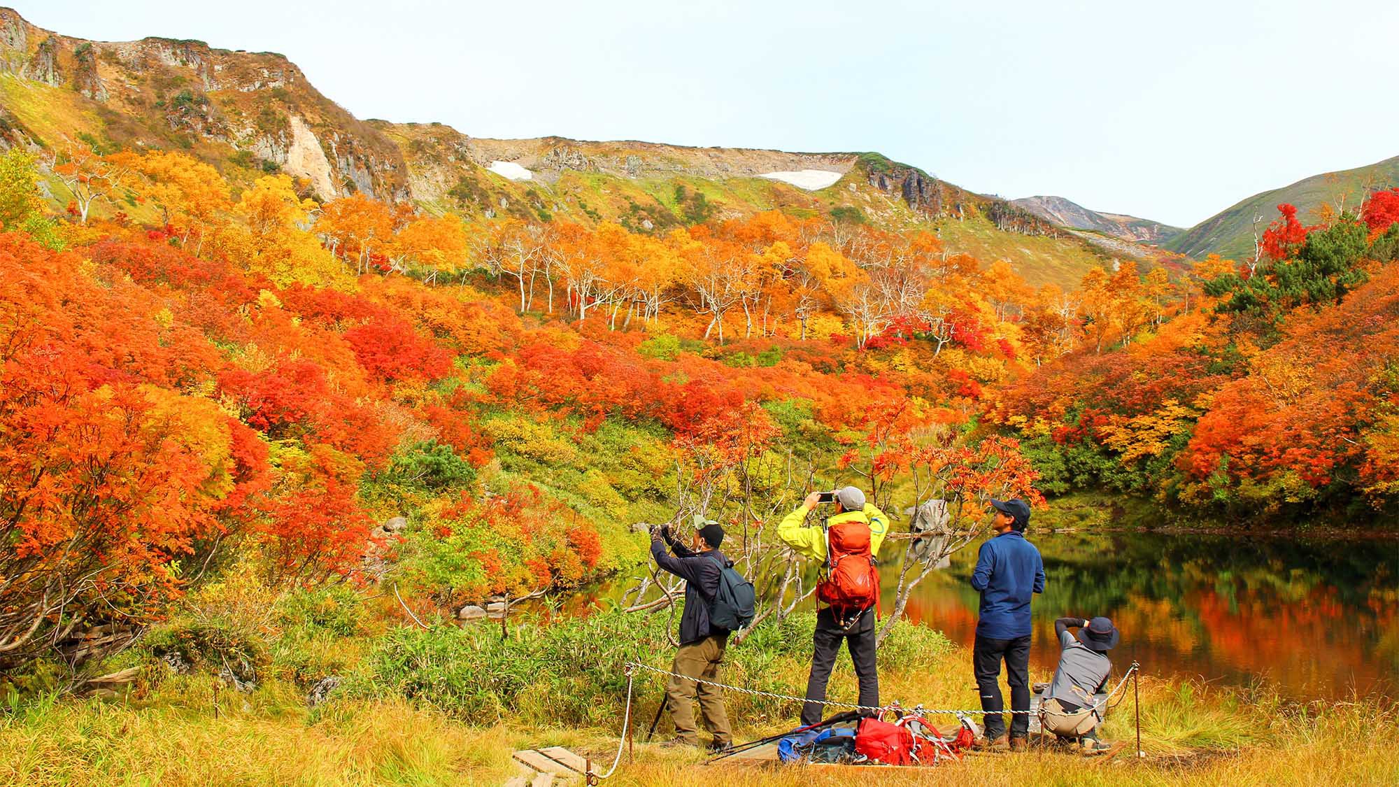 ・大雪山の秋の様子見事な紅葉に胸が躍ります