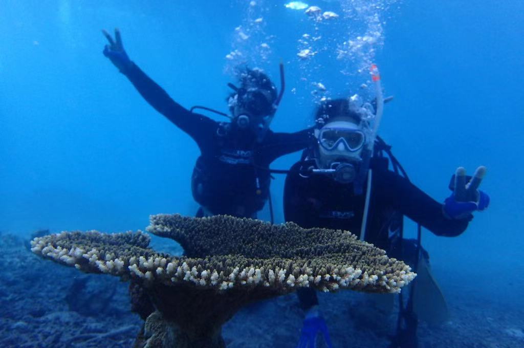 Tingala Ishigaki Image 3, Ishigaki, Japan