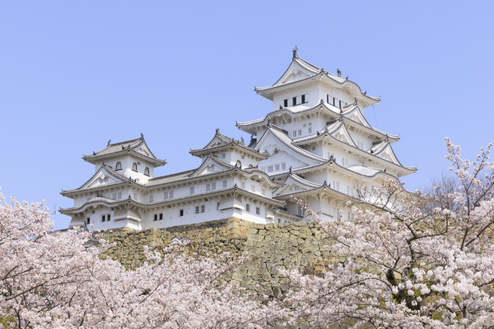 姫路城 満開の桜