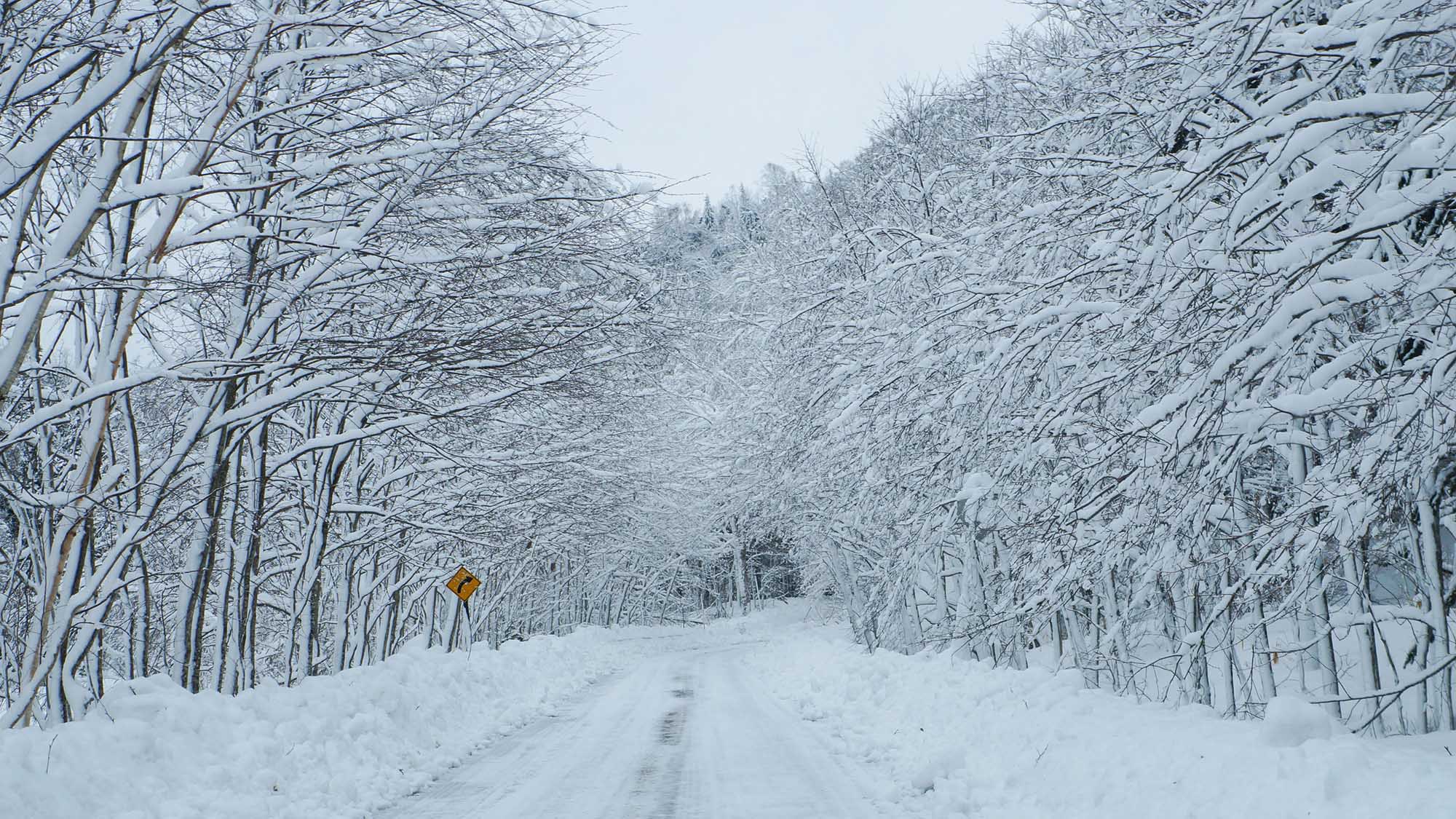 ・【周辺（冬）】然別峡の奥深く大雪山の深山へ