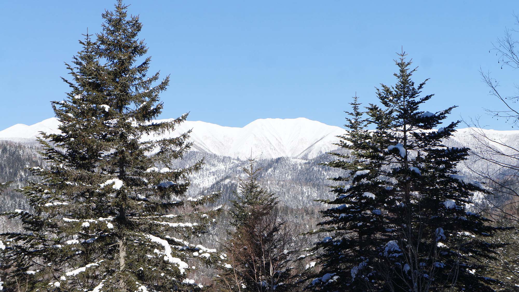 ・【周辺（冬）】雪を頂くウペペサンケ山これが見えるとすぐ近くです