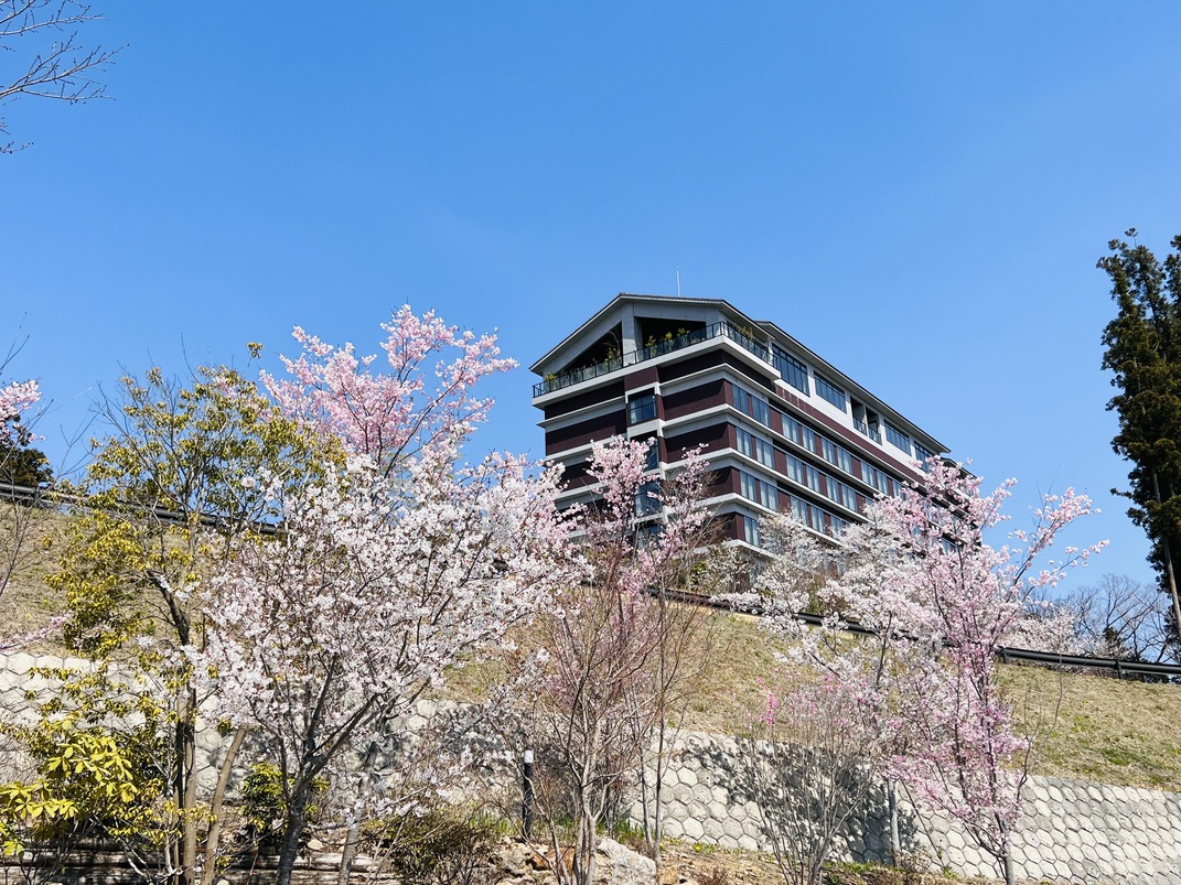【外観】敷地内には26種類の桜が咲きます。