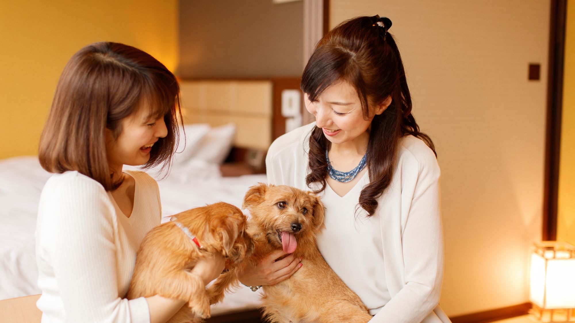 【愛犬同伴専用客室】 小型犬(6㎏以下)で1室あたり2頭まで同伴可能です。
