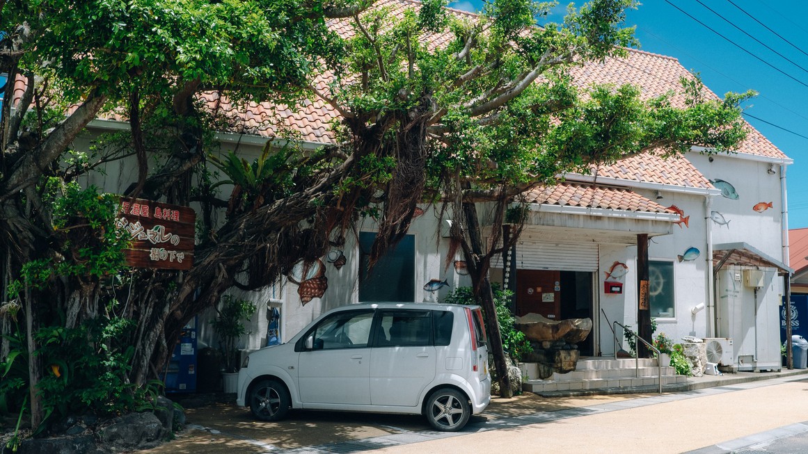 【ガジュマルの樹の下で】島料理・創作メニューなども充実している居酒屋さん。定食メニューもあります。