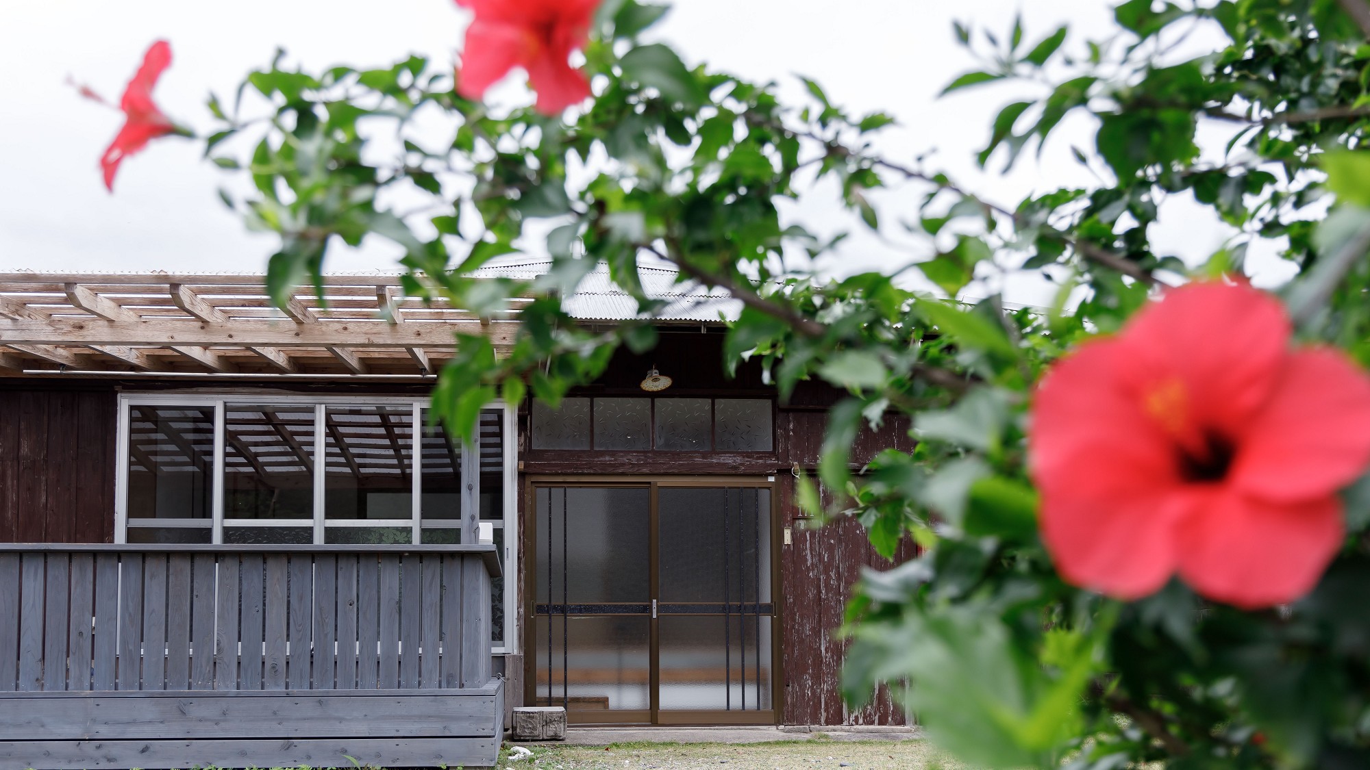 「風ぬける川辺の宿（ペット可）」外観鳥のにぎやかな声で目覚める朝を