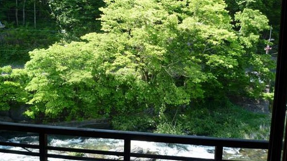 新緑の頃。木曽川眺望のお部屋からの眺め。