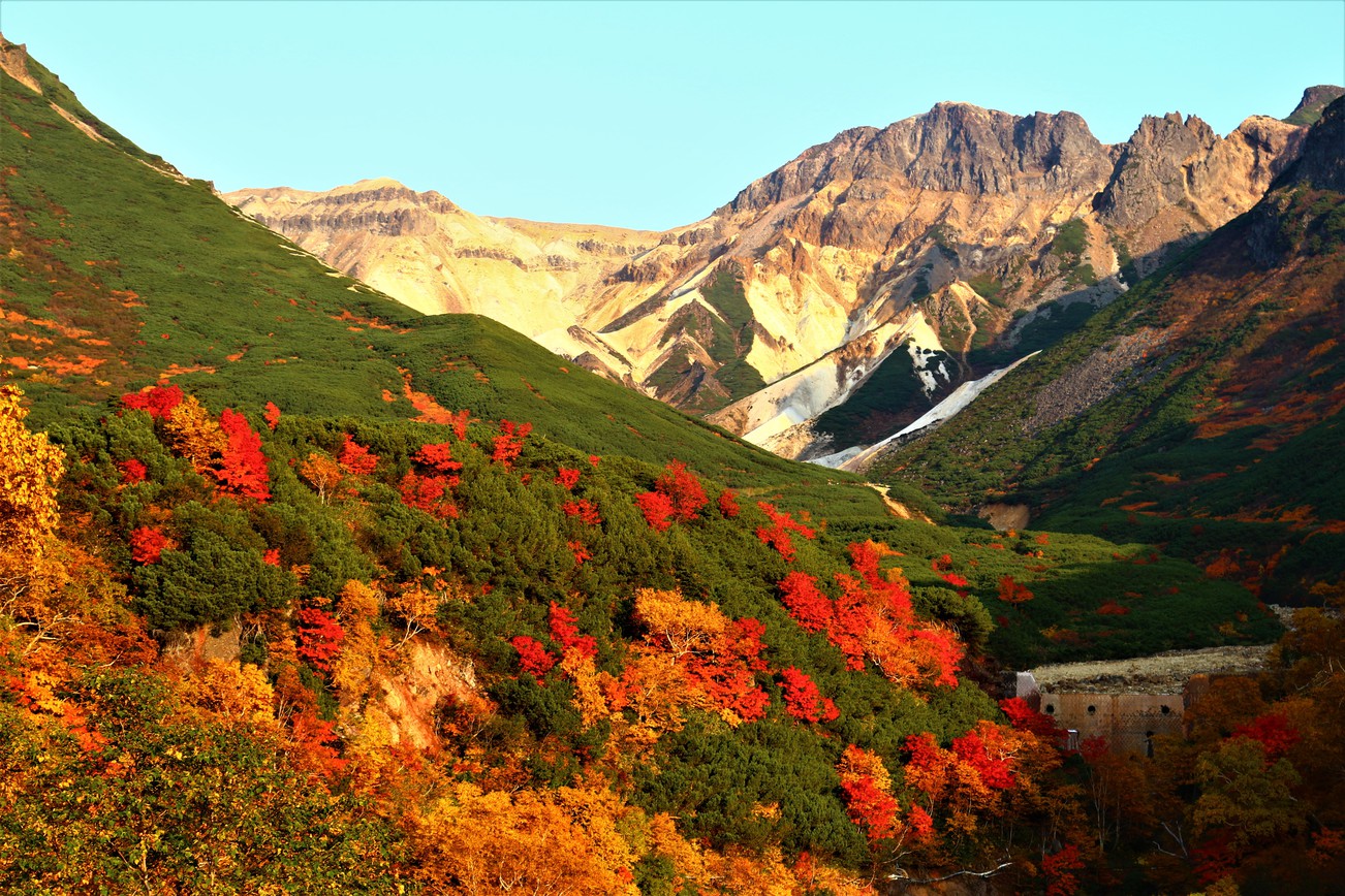 コテージから車で５０分、十勝岳温泉から望む紅葉