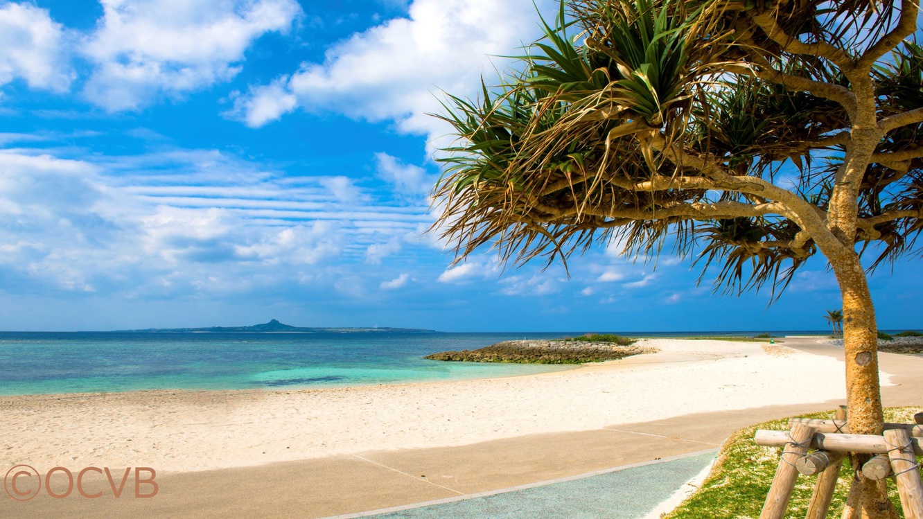 【エメラルドビーチ】沖縄屈指の透明度と水質のビーチ。