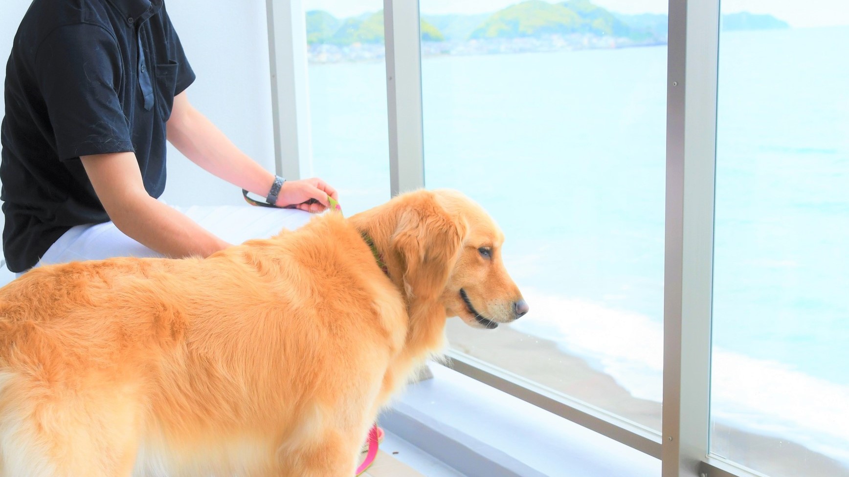 お部屋のテラスは海への飛び出し防止でガラス張りになっているので安心。