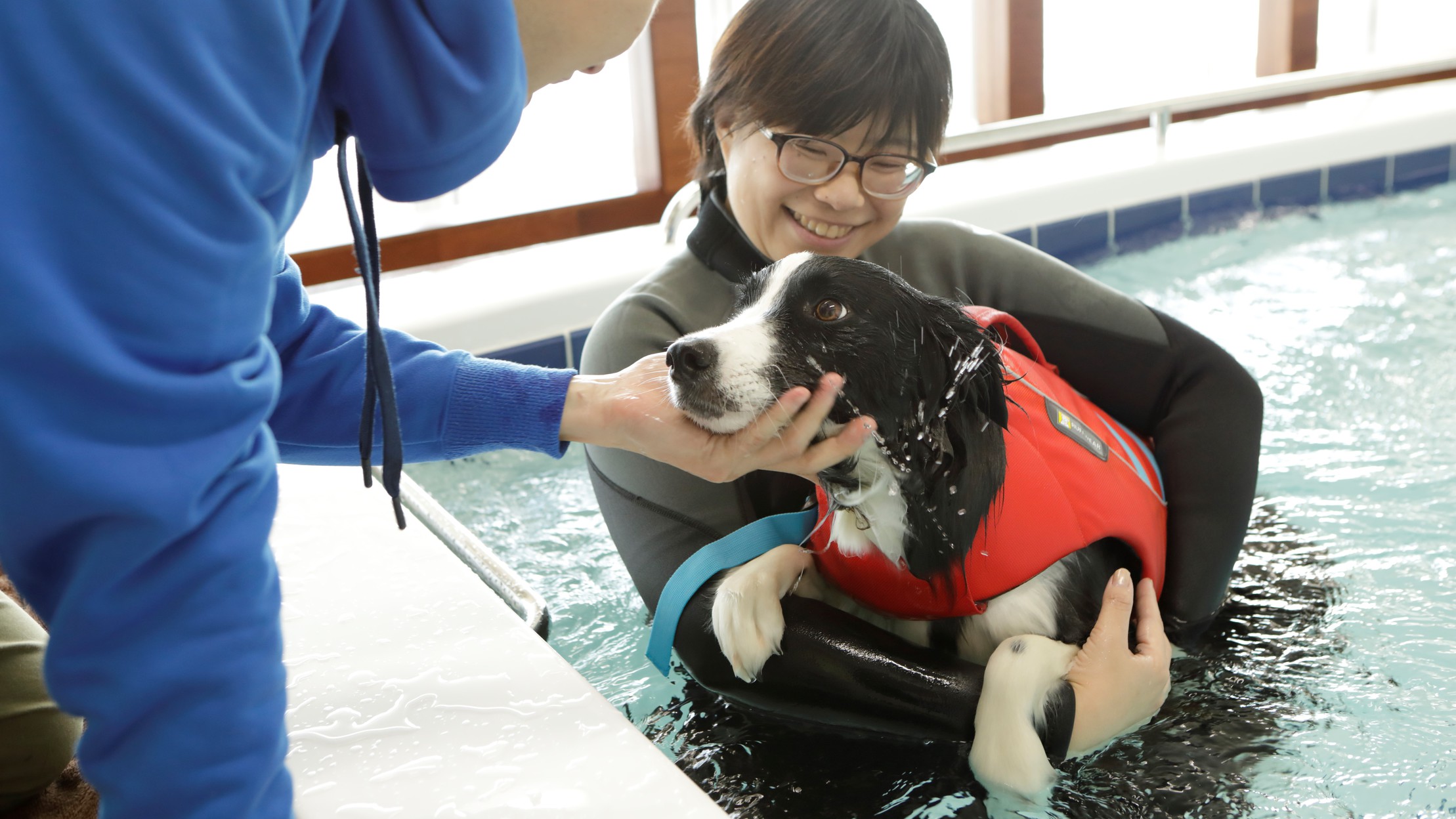【ドッグフィットネス】水の浮力により体がリラックスすると共に運動時の関節への負担が和らぎます