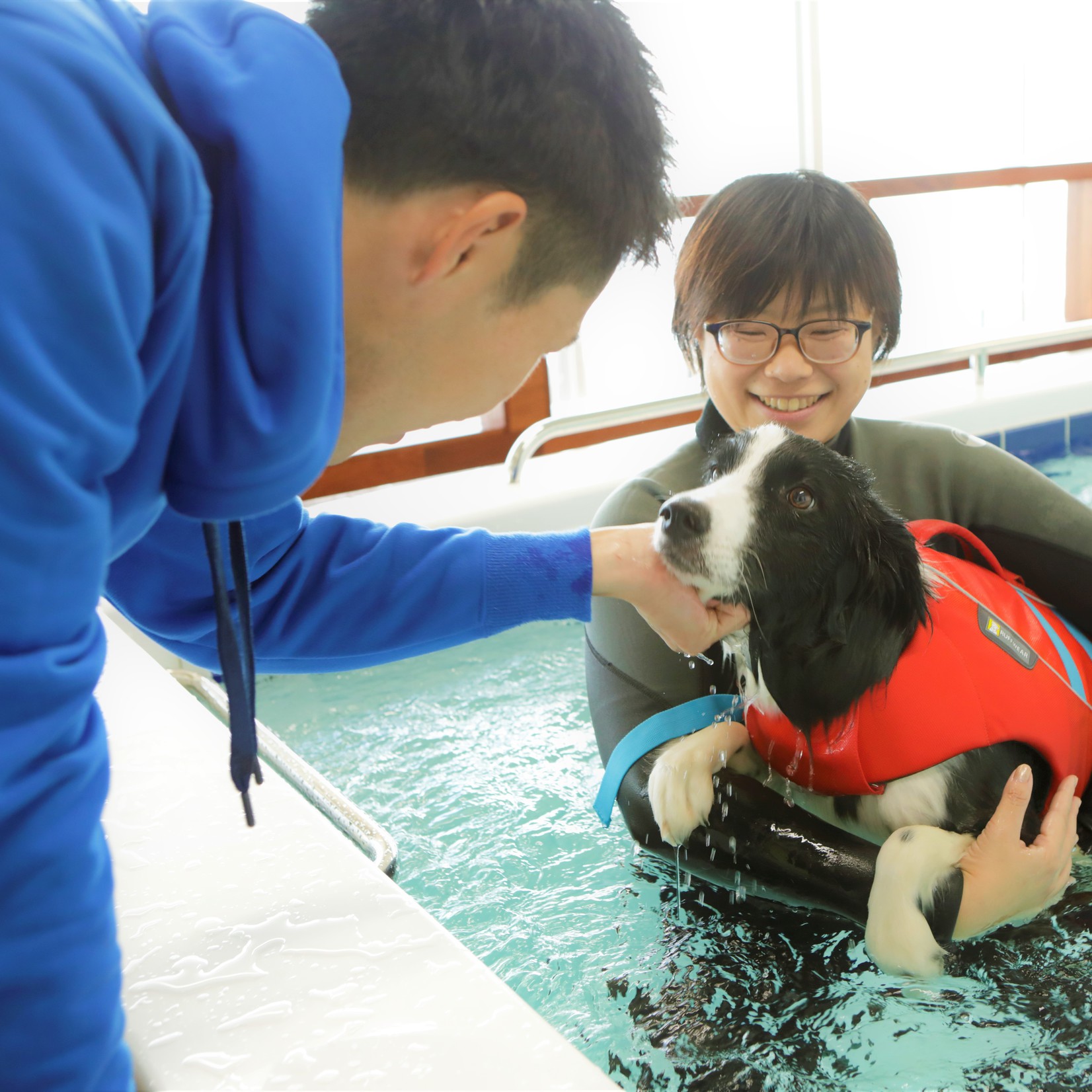 レジーナリゾート鴨川 ｄｏｇ ｗｅｌｌｎｅｓｓ ｂｅａｃｈ の施設情報 His旅プロ 国内旅行ホテル最安値予約