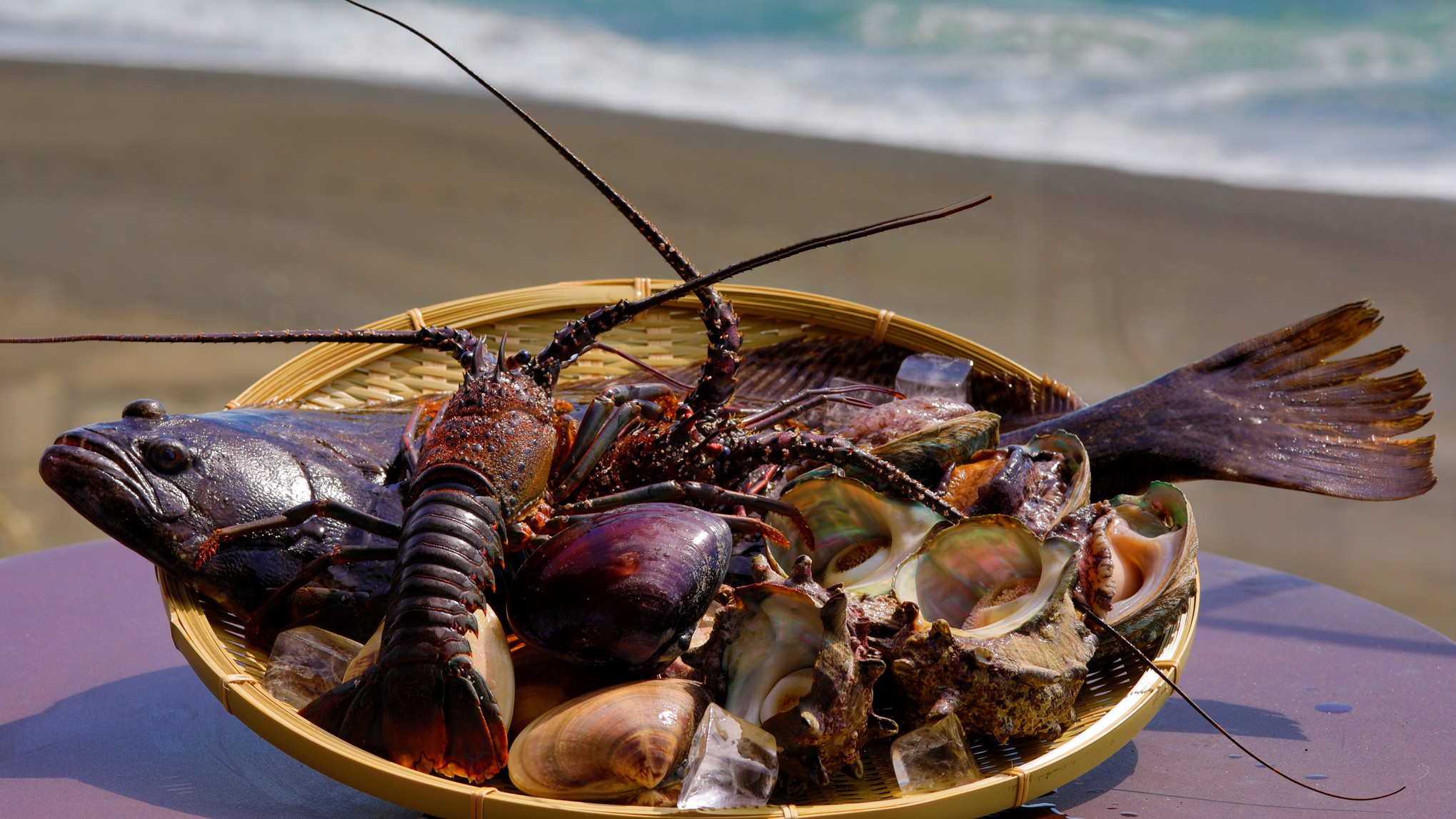 房総半島で採れた新鮮な魚介をご賞味ください。