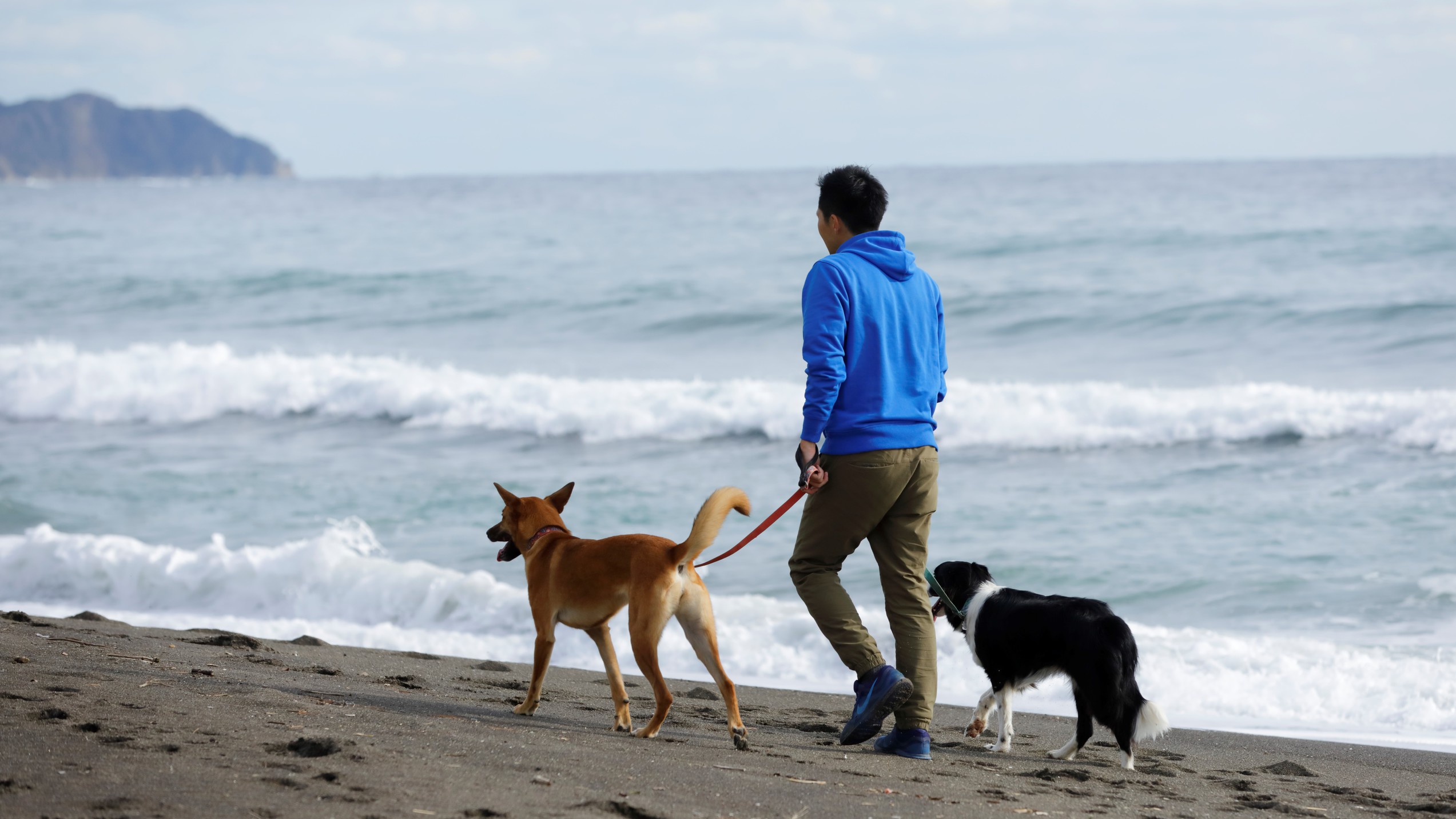 【ホテル前の海辺】朝のすがすがしい空気の中でするお散歩は格別！