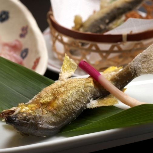 鮎塩焼きじっくりと炭火で塩焼きする鮎は絶品！（宗和流の作法により背が手前です）