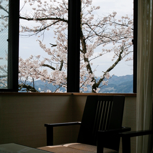 【別館角部屋】満開の桜を見ながら、お食事…;夜桜も楽しめる！