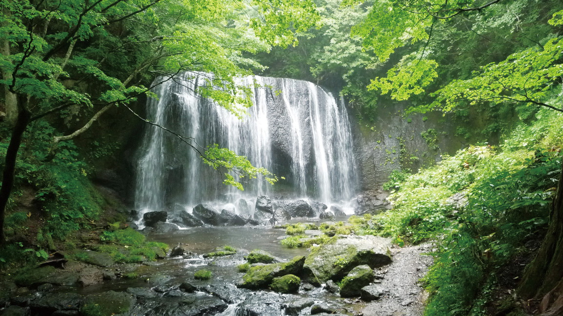 【達沢不動滝】福島県が誇る名瀑。美しい新緑や紅葉も楽しめ、散策にも最適（当館から車で10分）。