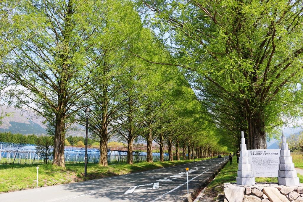 Pension Metasekoia Image 4, Takashima, Japan