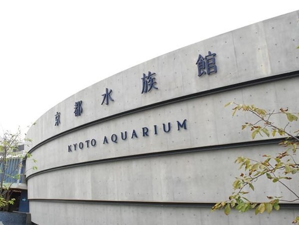 【京都水族館】まで5駅で京都駅まで出て、駅からは徒歩15分で到着。「京都駅」下車