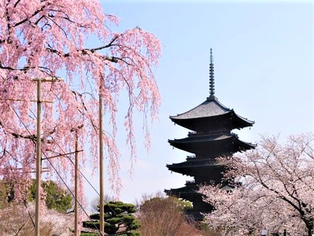 春や秋だけでなく、夏も冬も、美しく荘厳な空間を目の当たりにできます。