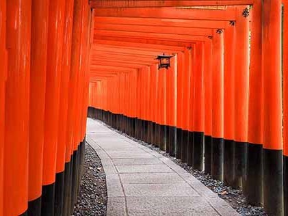 エリアを散策しながら伏見稲荷神社に行かれる方も。千本鳥居は圧巻！