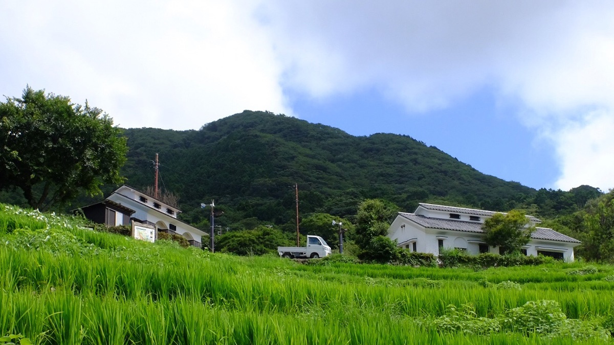 *石部の棚田／当館より車で約８分