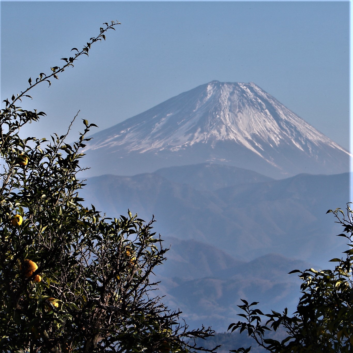 高下地区から見た富士山