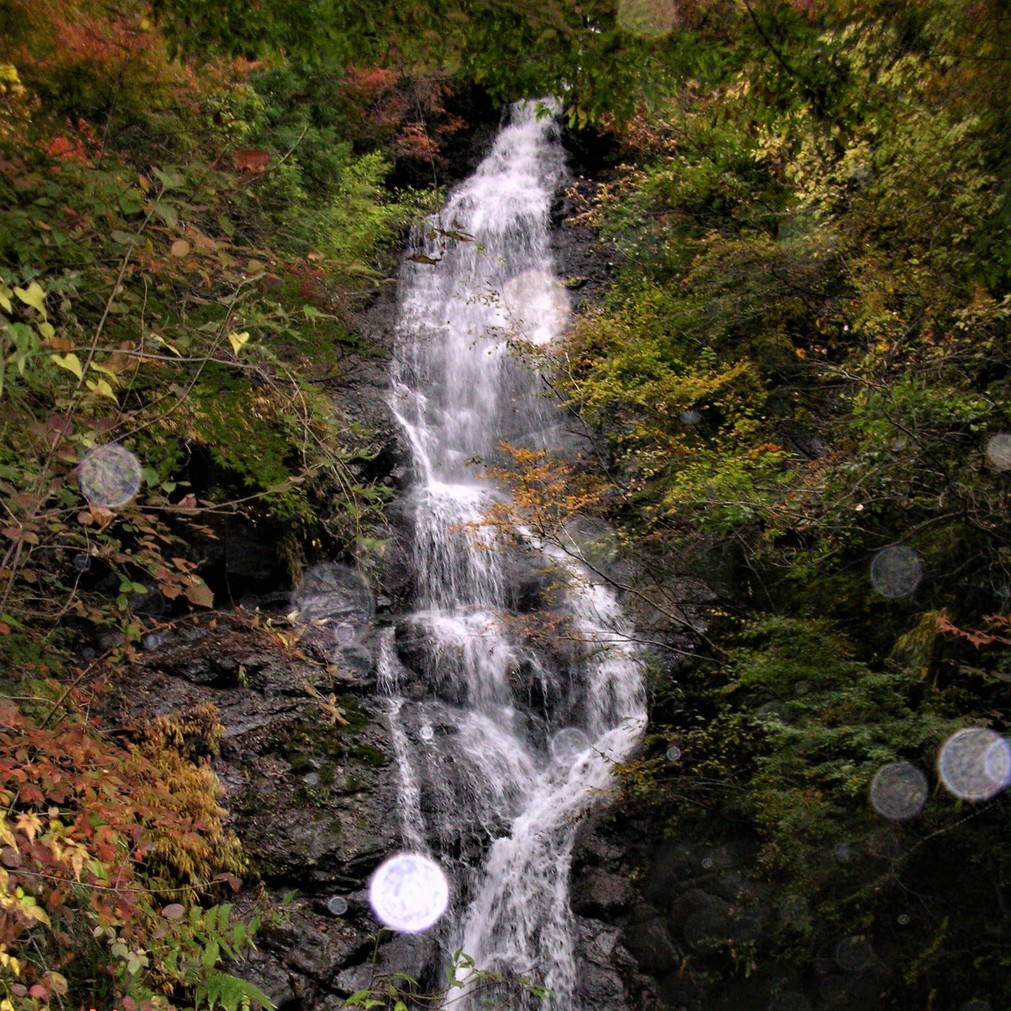 大柳川渓谷