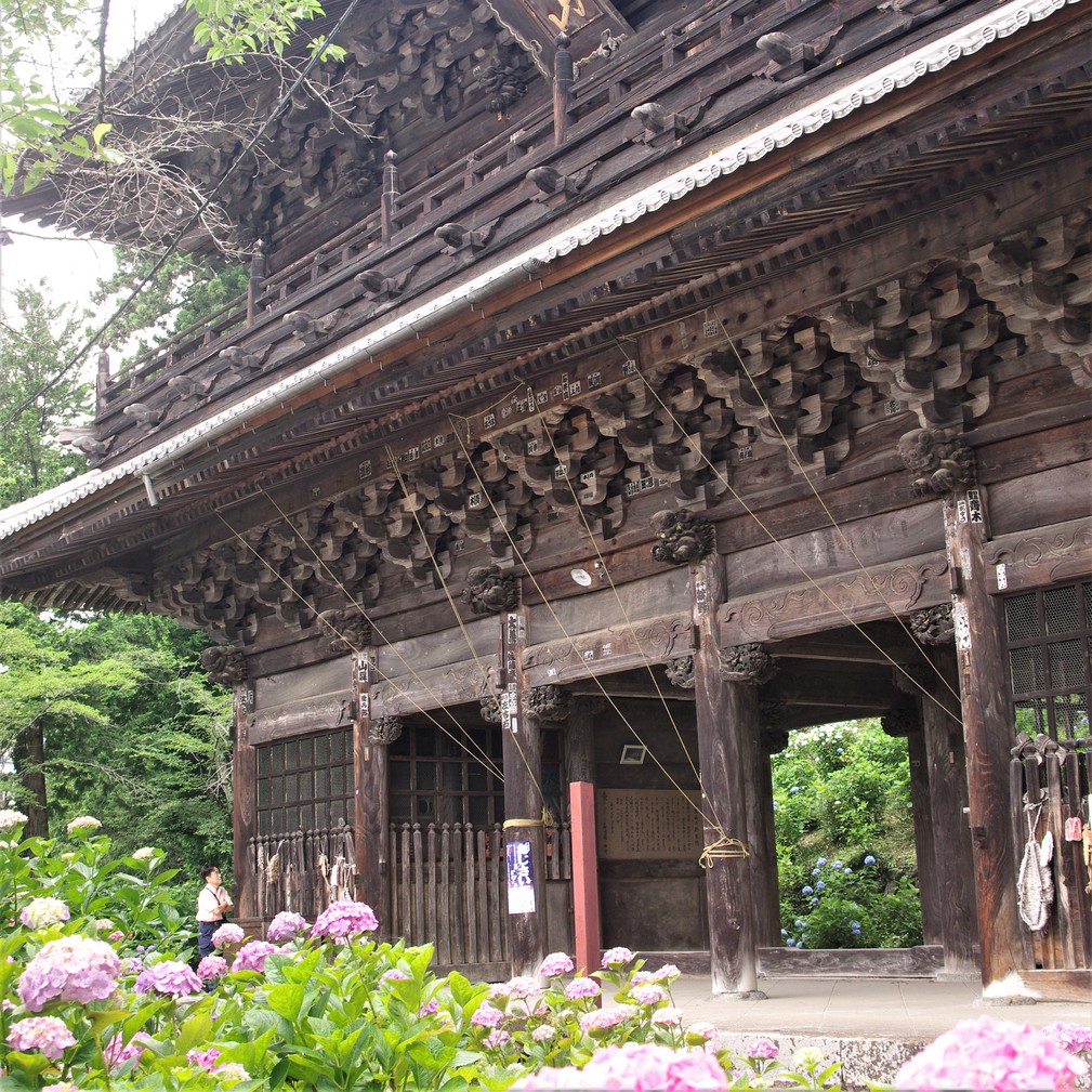 小室山妙法寺アジサイ祭り