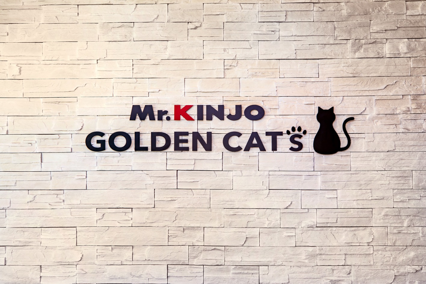 Mr．KINJO in Golden Cats