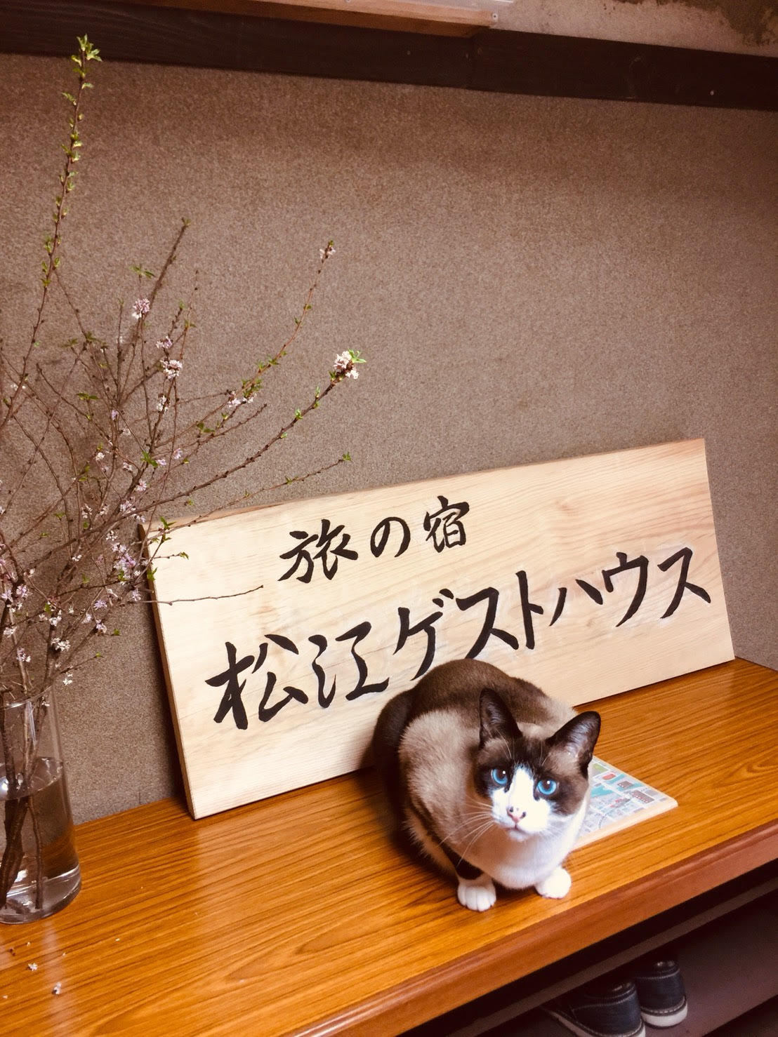 たま２